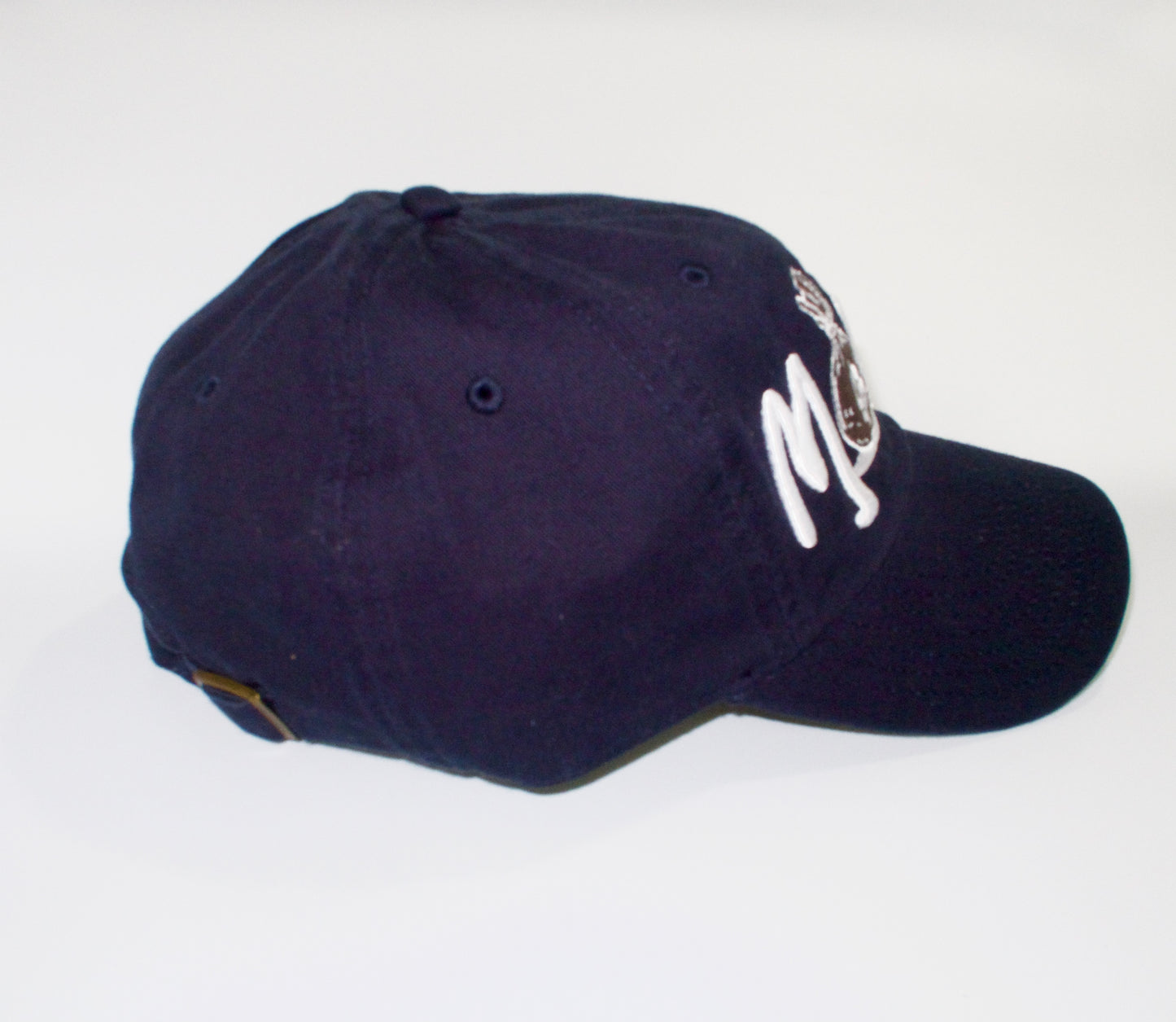 The Navy Money Hat